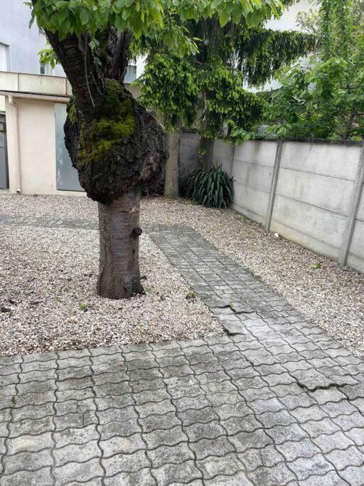 Studio Tout Confort, Au Pied De Toute Commodite, 2 Apartment Creteil Exterior photo